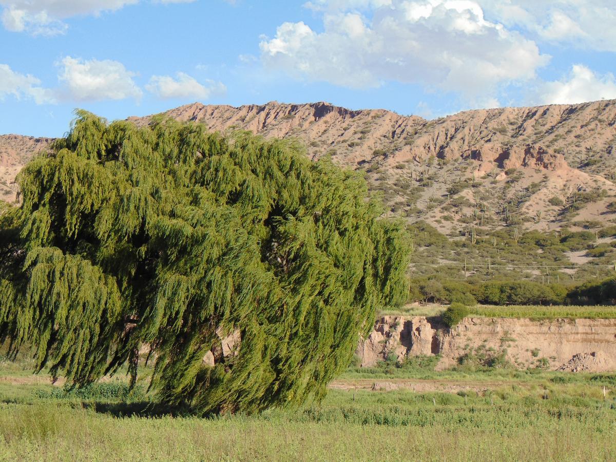 El Churqui Humahuaca Exterior foto